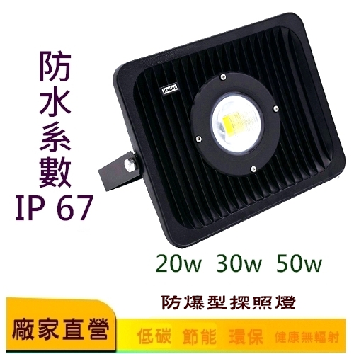 LED 防爆型探照燈 30W