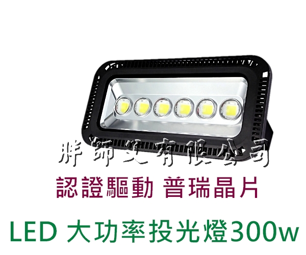 LED 大功率投光燈 防水探照燈 300w 飛利浦燈珠