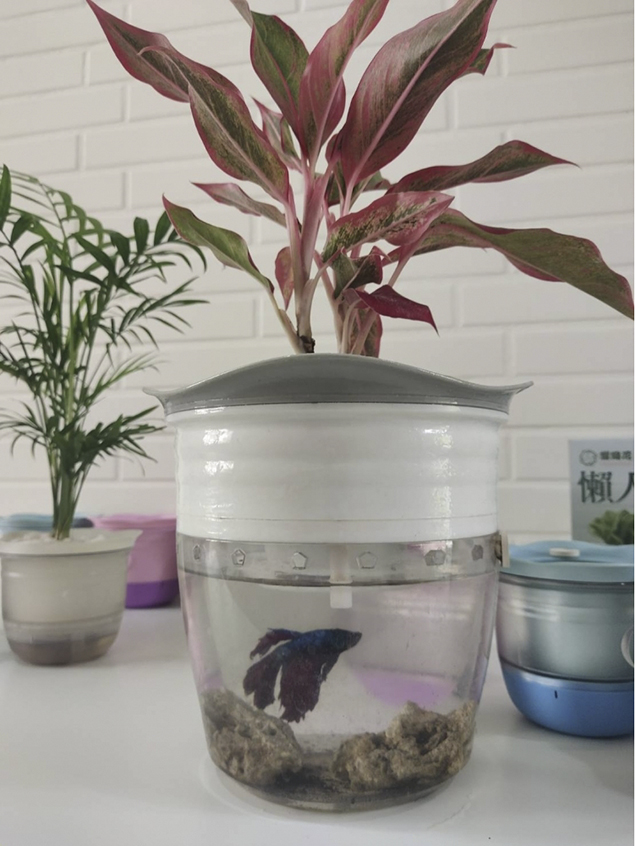 不插電植物雙層氧魚缸