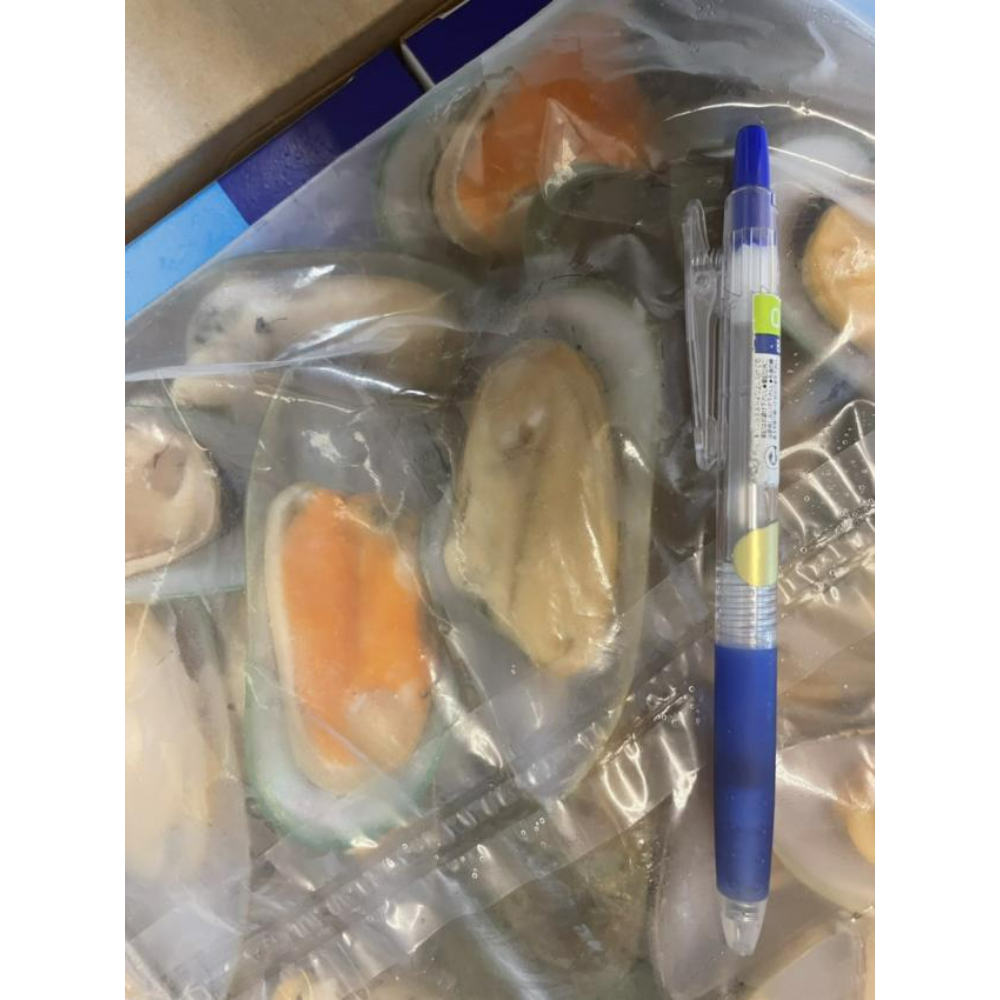 紐西蘭淡菜