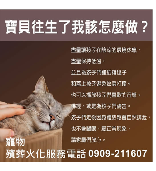 寵物火化