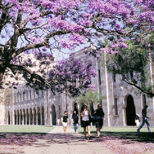 澳洲昆士蘭大學