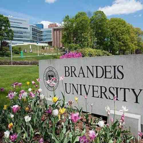 美國布蘭迪斯大學