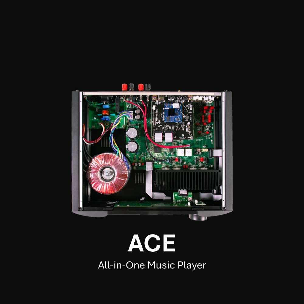 ACE 一體式音樂播放器