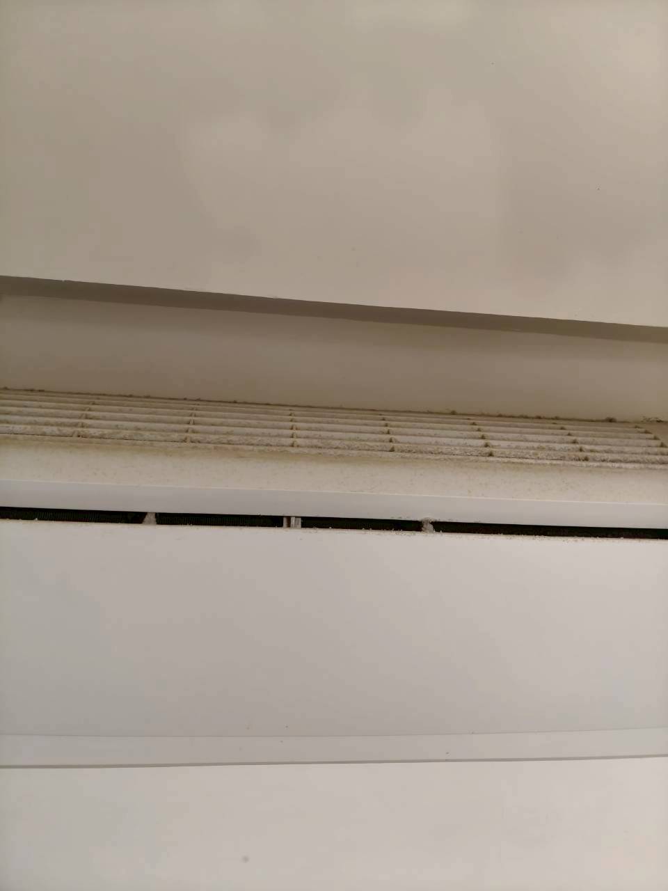 大金分離式冷氣清洗