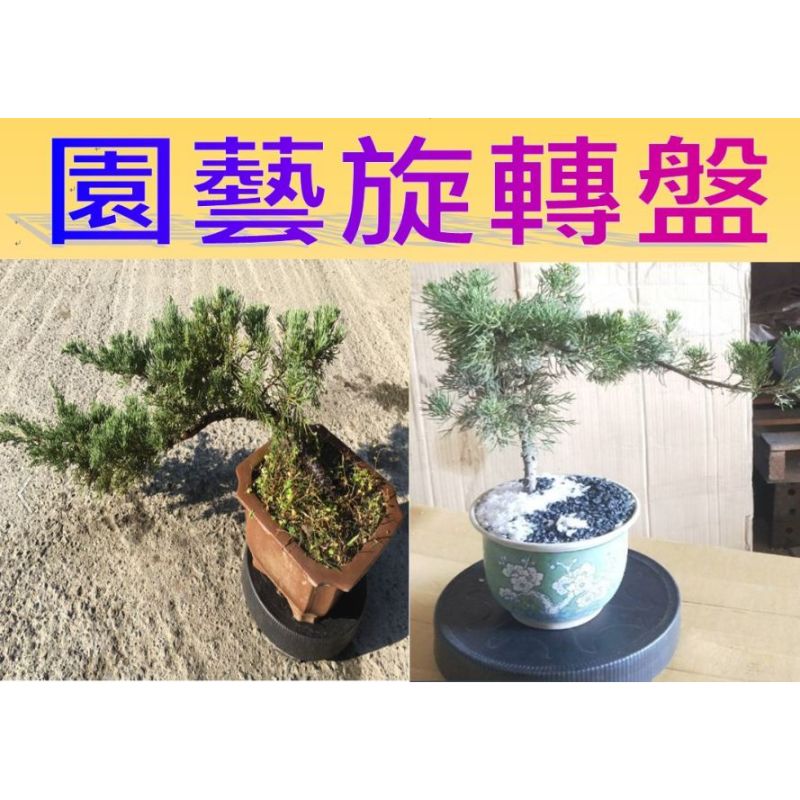 園藝旋轉盤