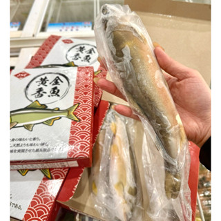 爆卵母香魚