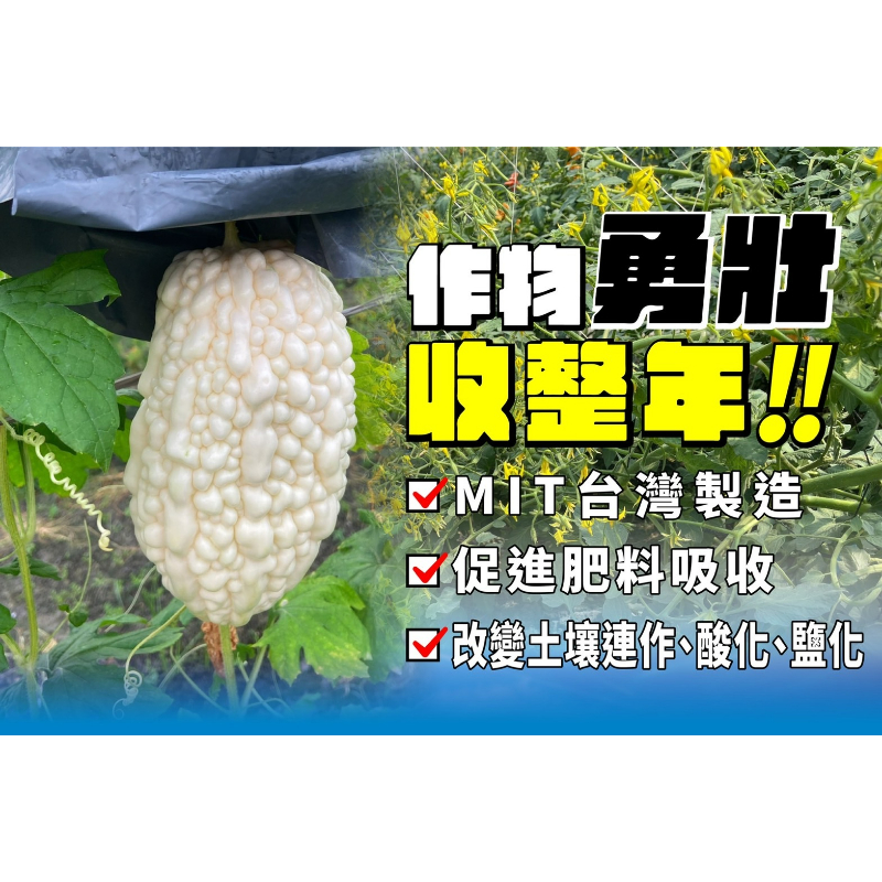 溶磷益生菌