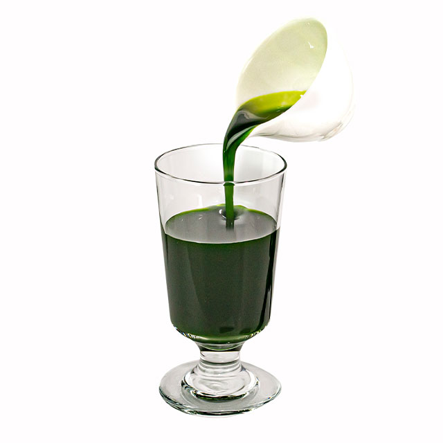 MATCHA TIGER DOT - HANGING WALL SYRUP