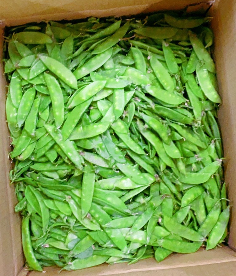 【豆類】荷蘭豆