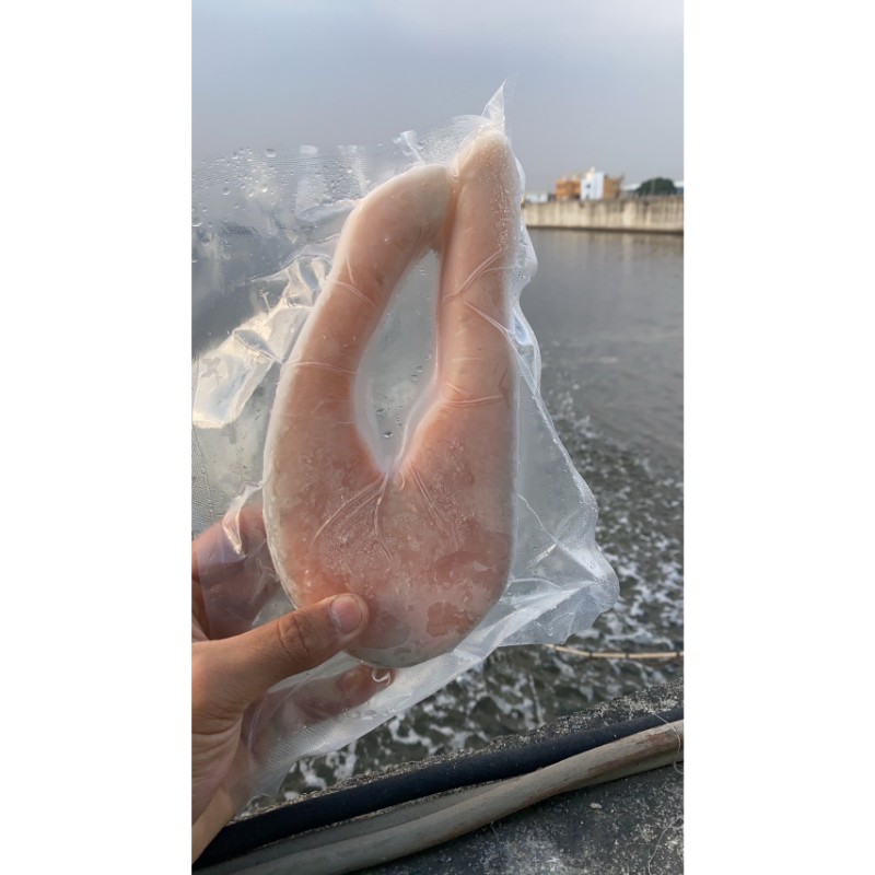 冷凍智利鮭魚輪切片