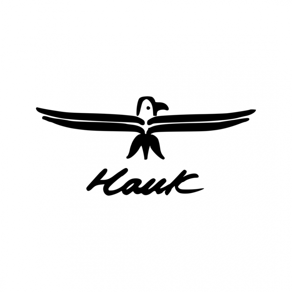 HAWK太陽套鏡｜清晰視野，無懼強光