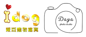 大雅攝影&IDOG愛豆寵物寫真-攝影公司,寵物攝影,高雄寵物攝影,鳳山區寵物攝影