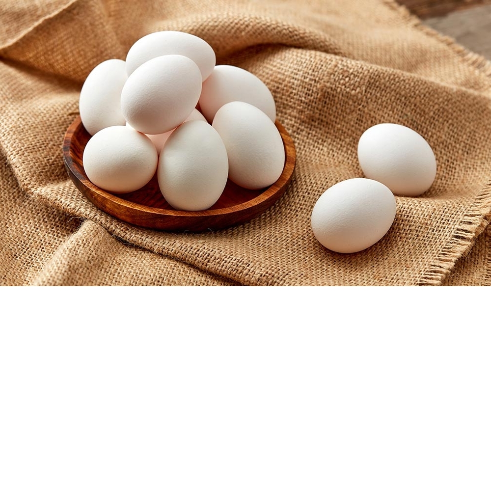 機能白蛋 (紅仁)