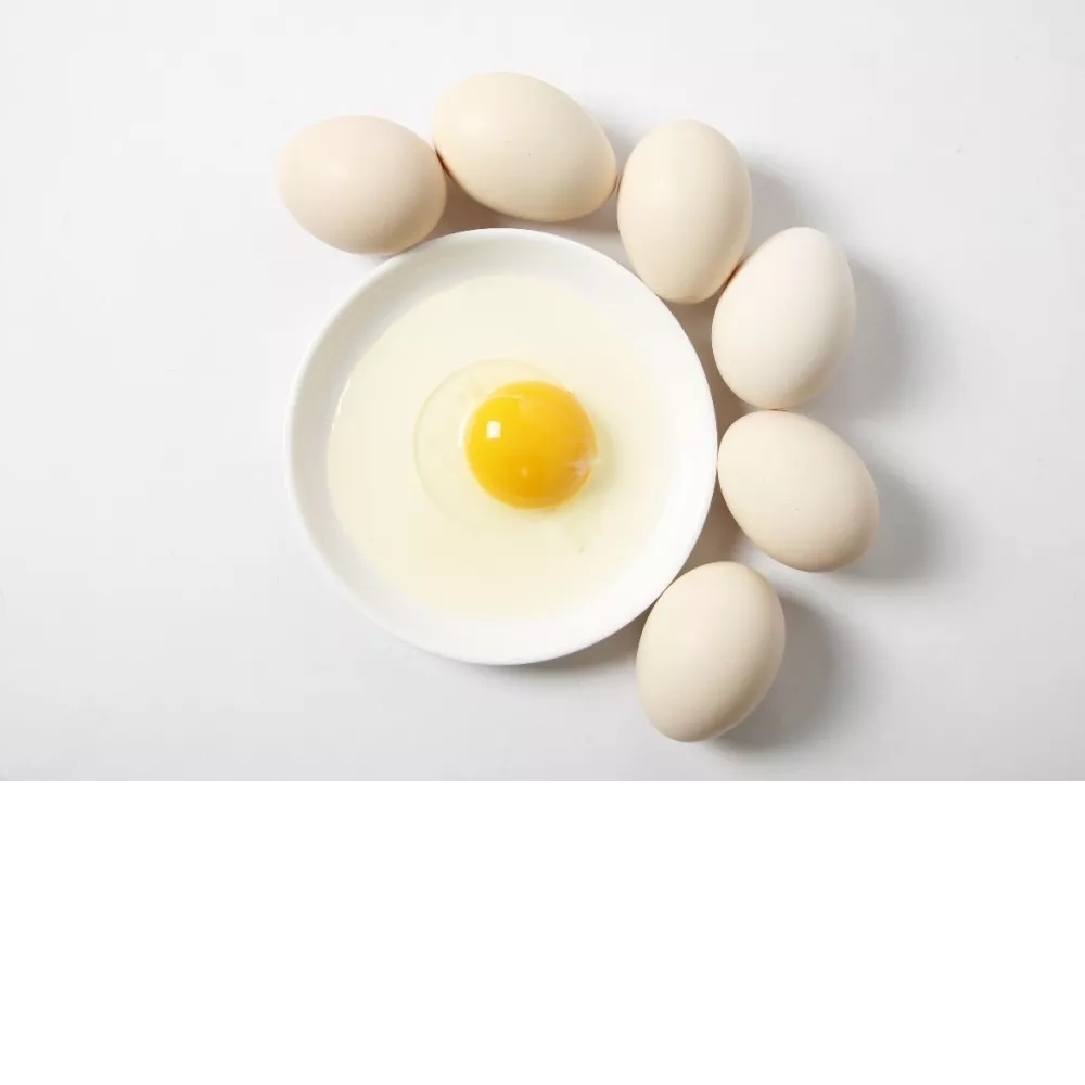 一般白蛋 (黃仁)