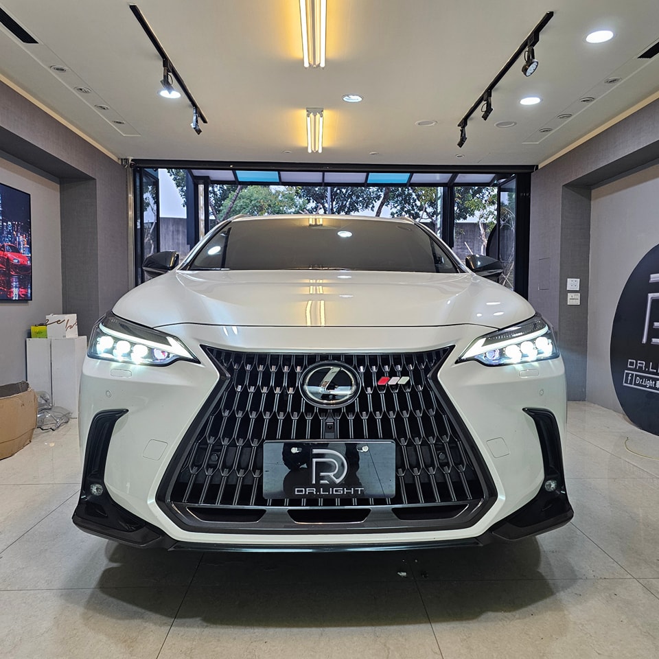 LEXUS NX20