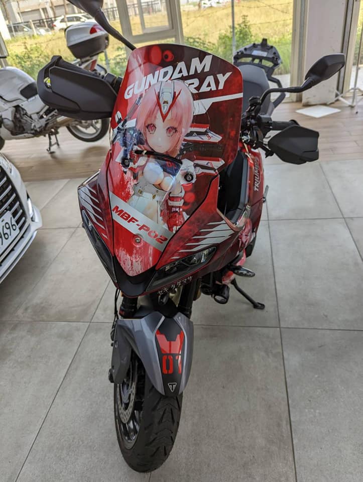 Triumph Tigrt Sport 660 KOROSI RED / GRA