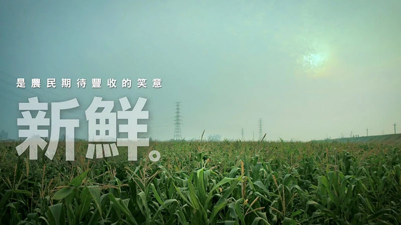福壽國產玉米 新鮮篇