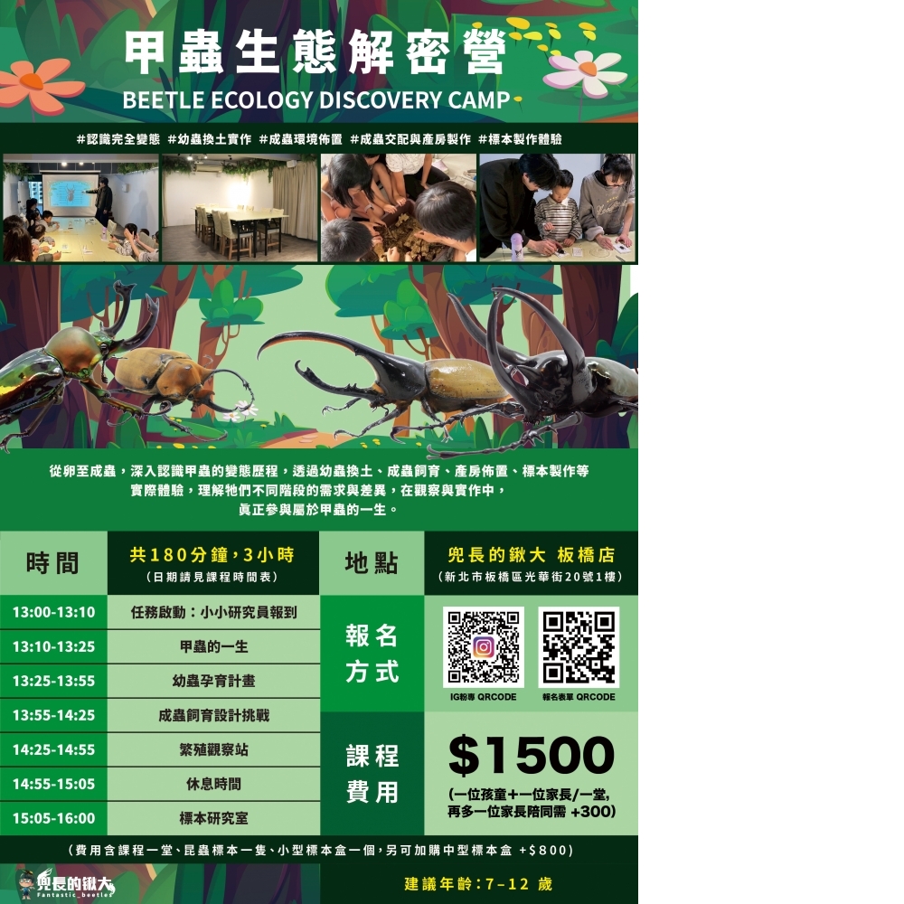 甲蟲生態解密營