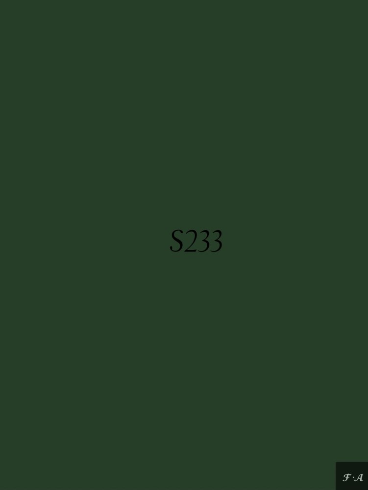 S233