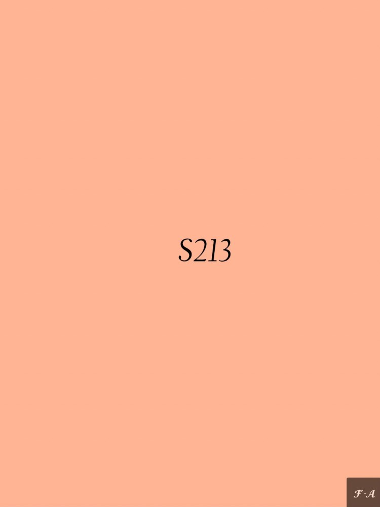 S213