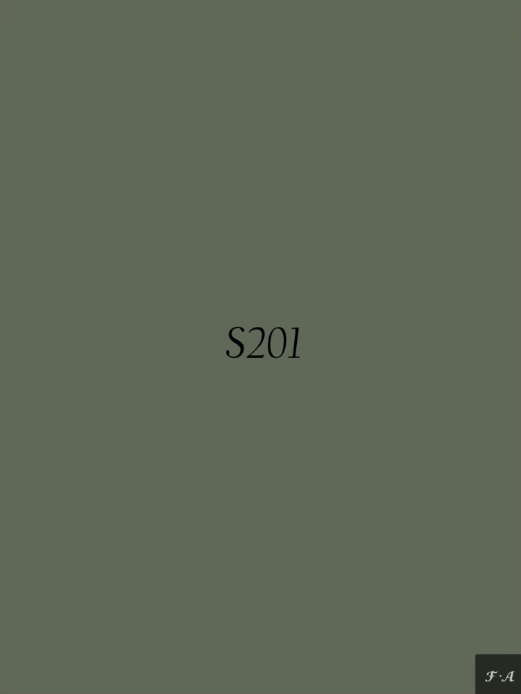 S201
