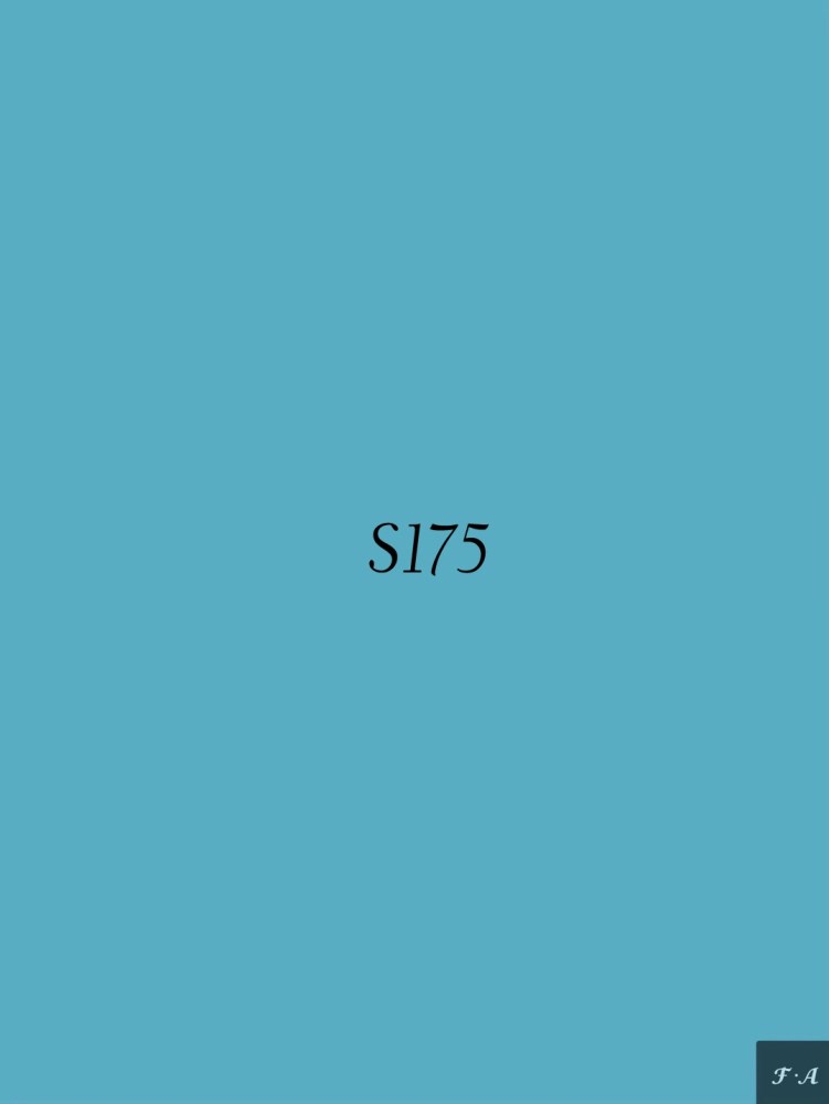 S175