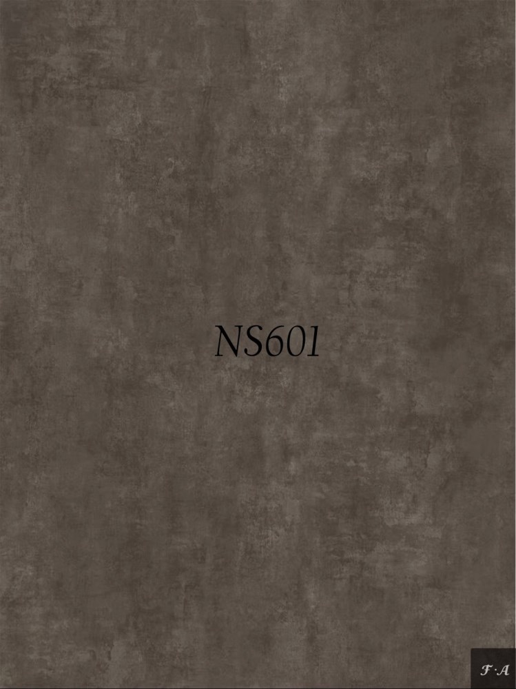 NS601