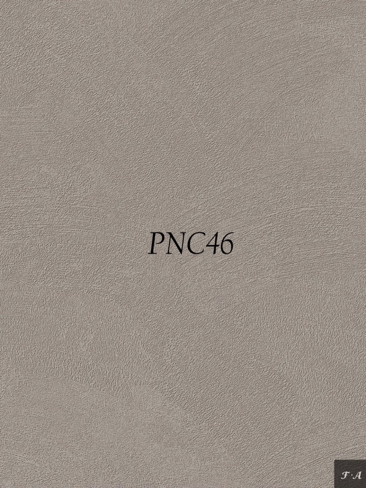 PNC46