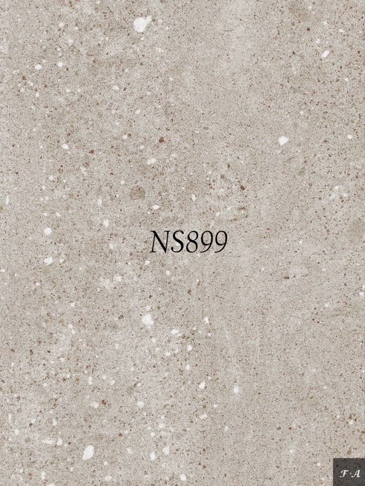 NS899