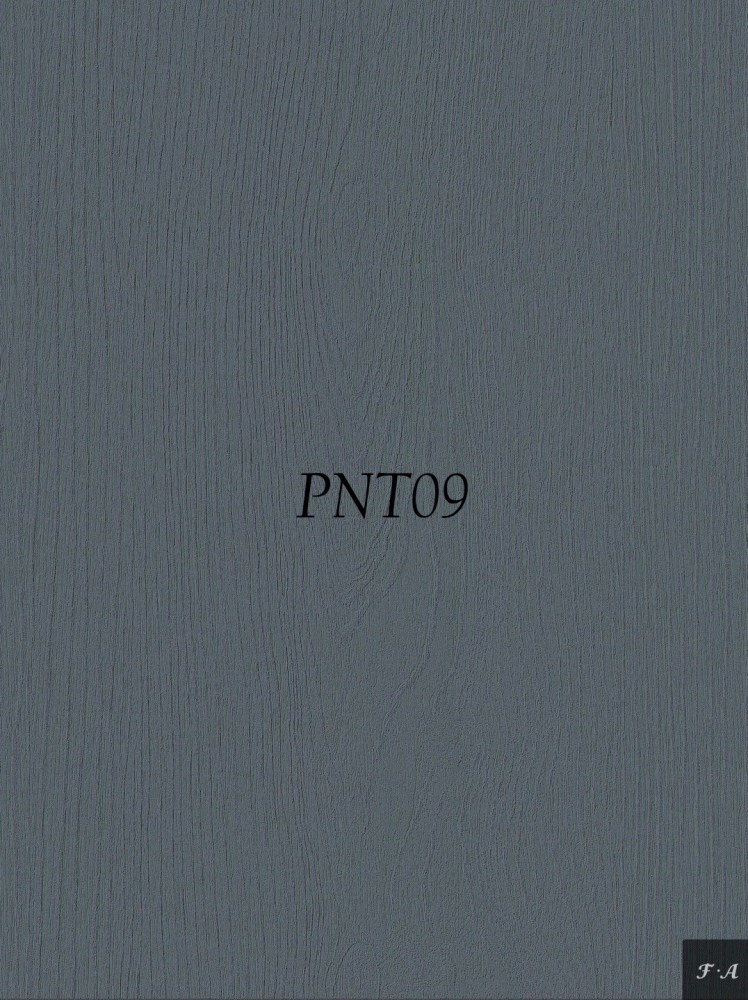 PNT09