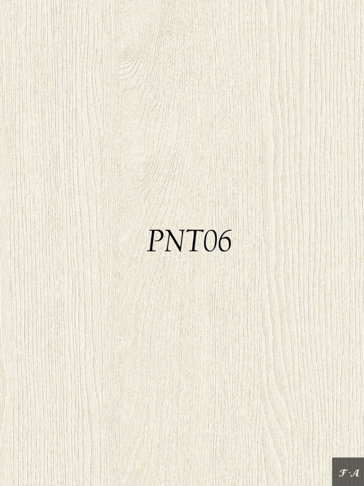 PNT06