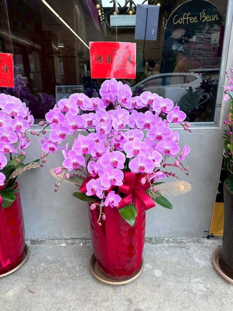 【開幕蘭花/花籃】台中開幕蘭花/北區開幕蘭花