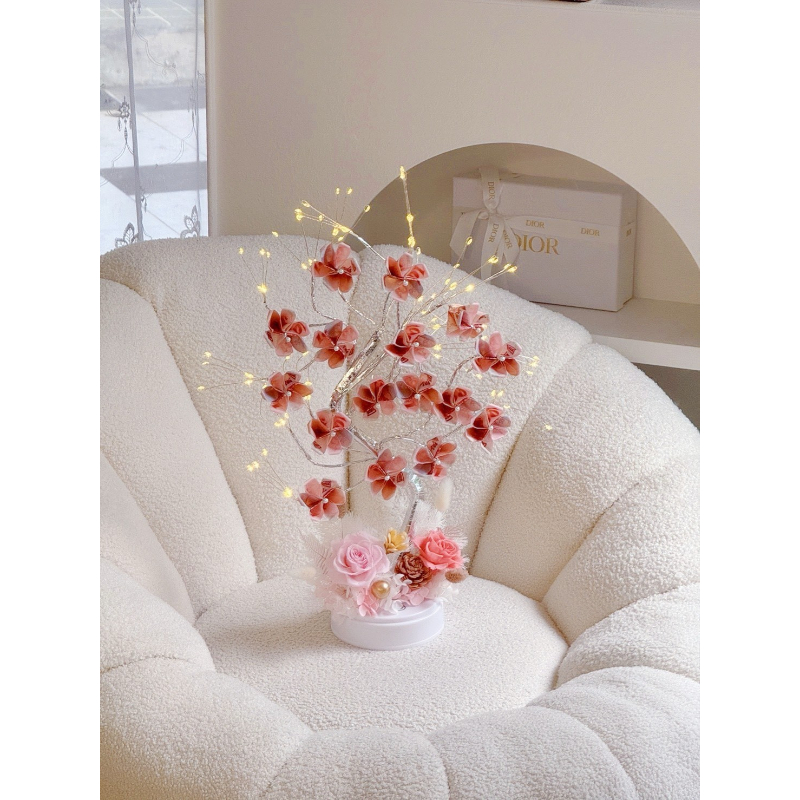 鈔票花禮 招財幸運樹