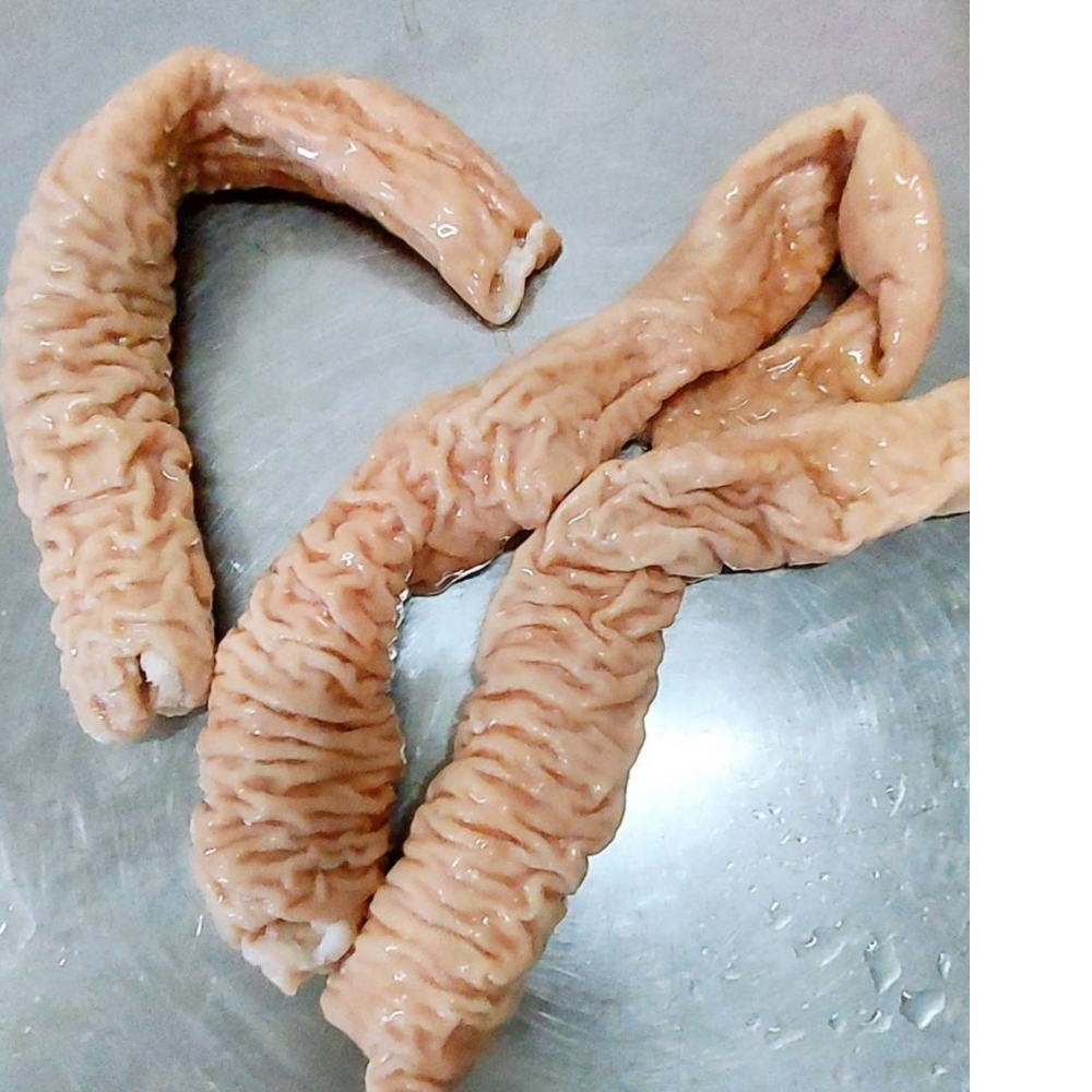 豬大腸頭(已汆燙)