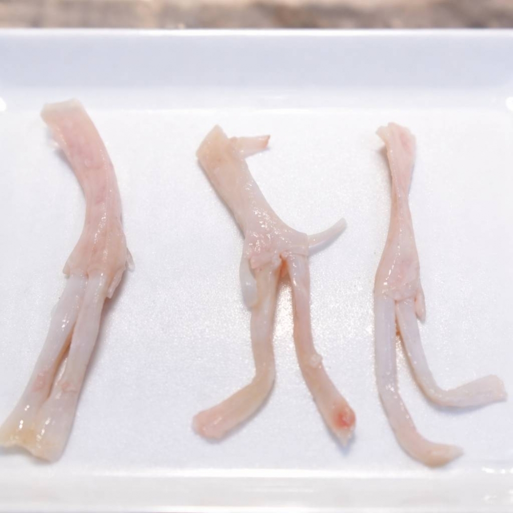 豬後腳筋 約3公斤裝