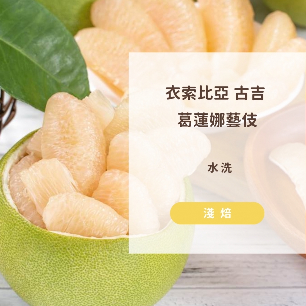 衣索比亞 古吉 葛蓮