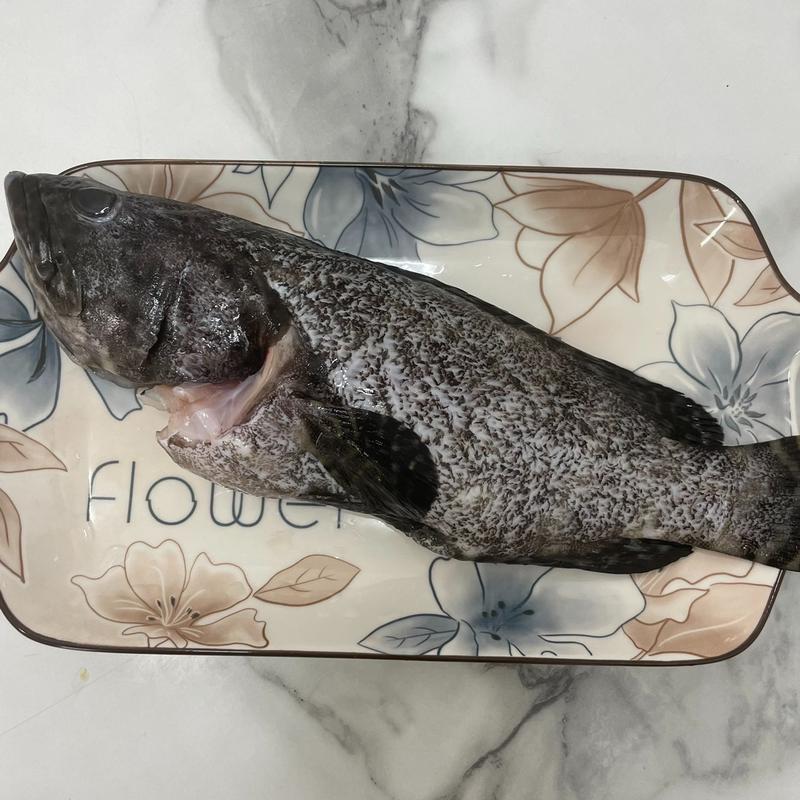龍虎斑