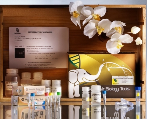 RNA Purification Kit