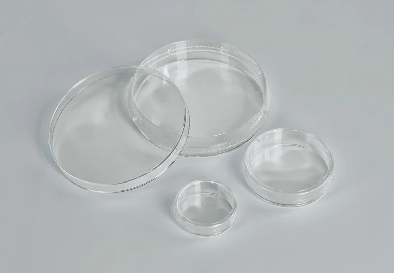 Cell Cultu