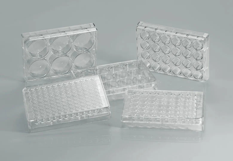 Cell Cultu