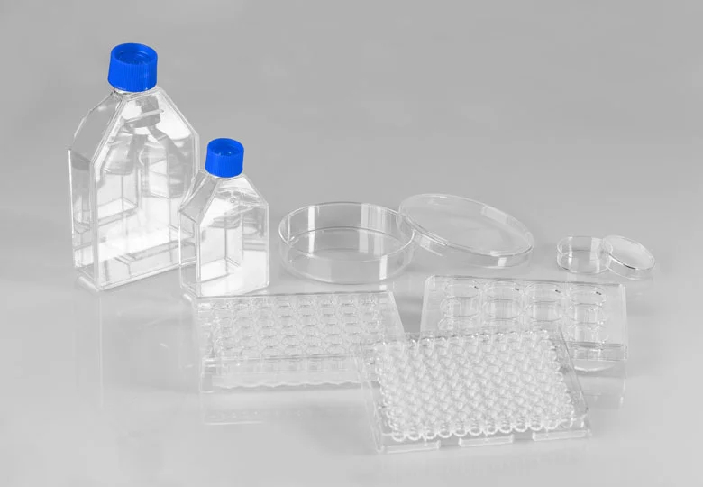 Cell Cultu