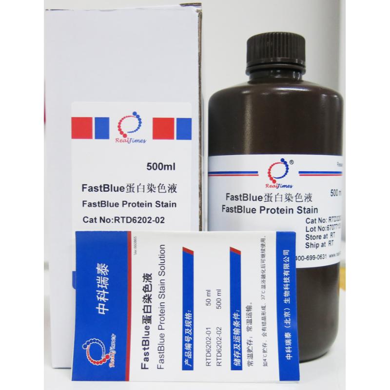 FastBlue蛋白染色液