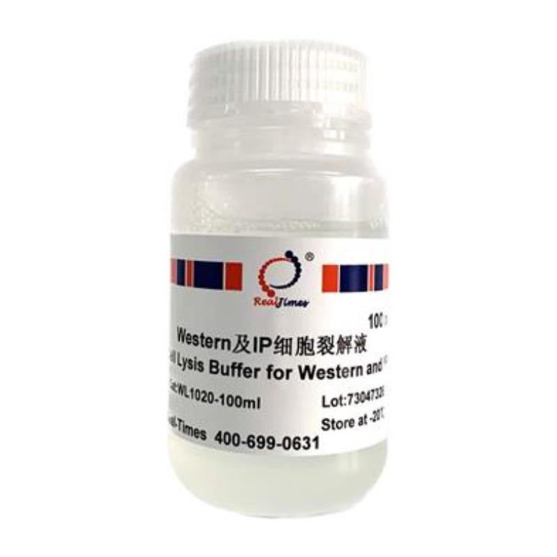 Western及IP细胞裂解液