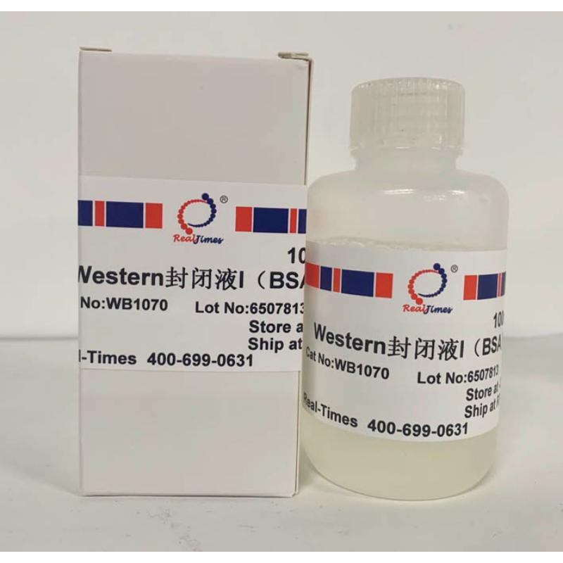 Western封闭液I（BSA）