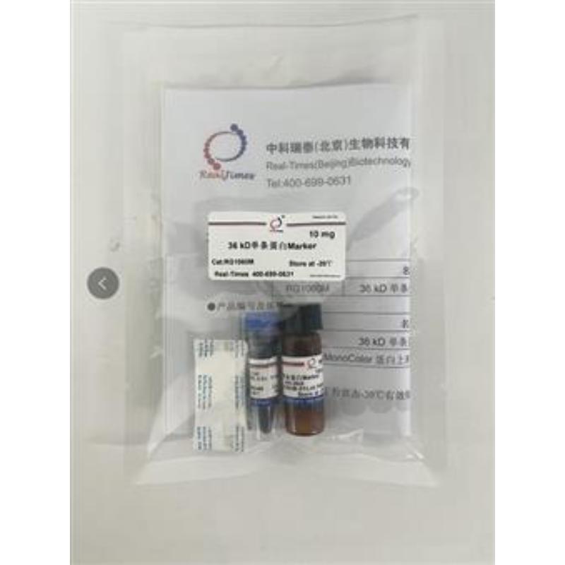 36 kD单条蛋白Marker