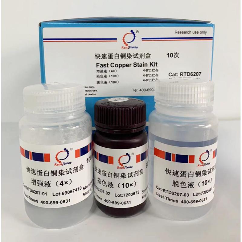 快速铜染蛋白染色试剂
