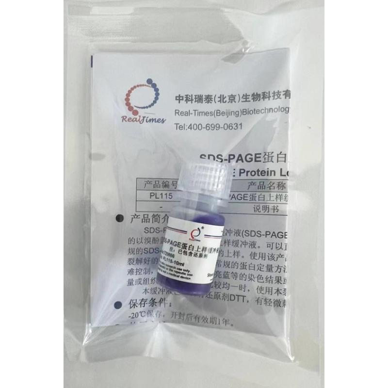 SDS-PAGE蛋白上样缓冲液(1×)