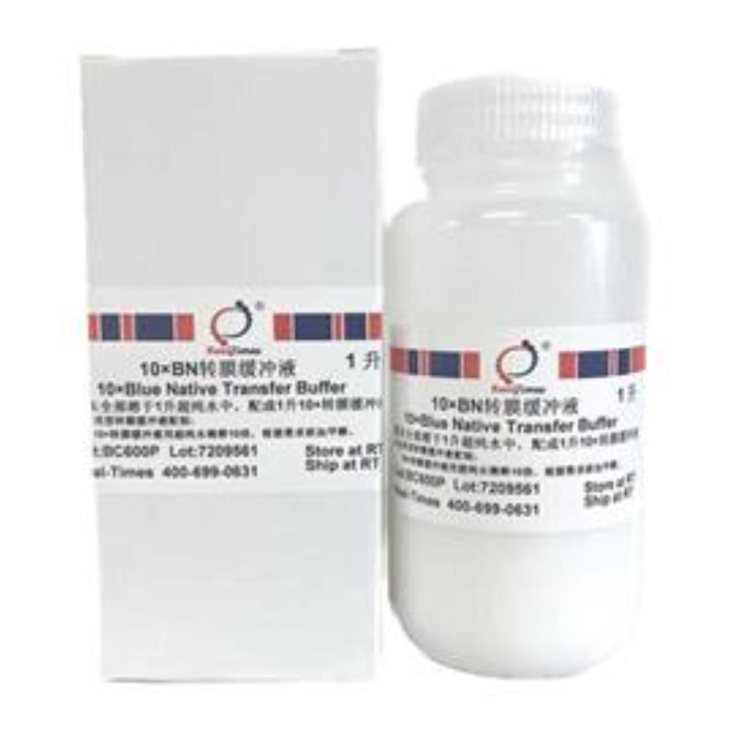 10×BN转膜缓冲液