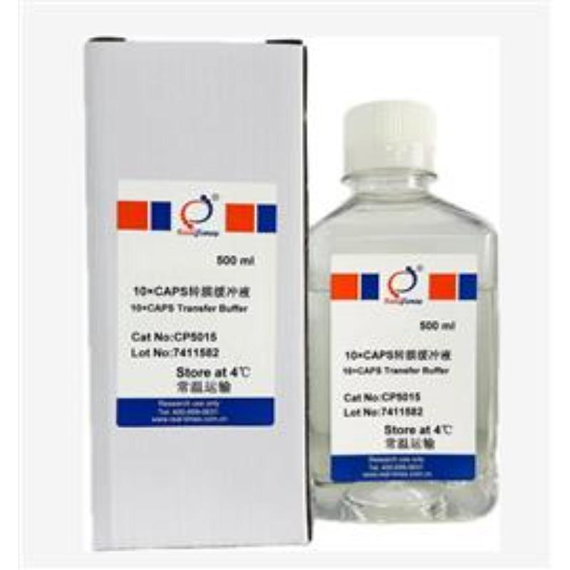 10×CAPS转膜缓冲液